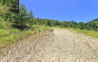 Imagem 4: Terreno para venda, Parada Cristal, Caxias Do Sul