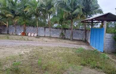 Imagem 15: Chacara local alto e ensolarado