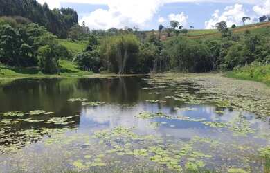 Imagem: O terreno possui 500m² de Área e Imóvel novo e está localizado