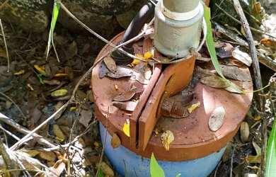 Imagem 6: VENDO SITIO NA ESTRADA DA PRODUÇÃO PROXIMO A SAMAMBAIA COM LINDAS BELEZAS...