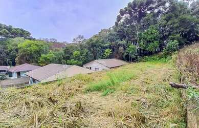 Imagem 3: Imóvel para venda possui 450 metros quadrados em Santa Cândida - Curitiba...