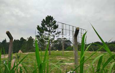 Imagem 8: Terreno à venda, Chácara Monte Alegre, Sumaré, SP