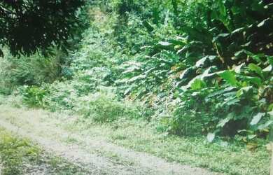 Imagem: O terreno possui 870m² de Área e está localizado em Itanhangá