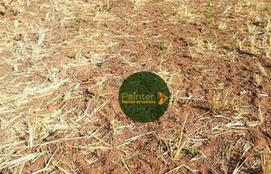 Imagem 2: Fazenda à venda, 629200 m² por R$ 3.000.000,00 - Zona Rural - Amorinopolis/GO