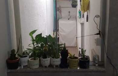 Imagem 11: AP 2 Qts Jockey Itaparica