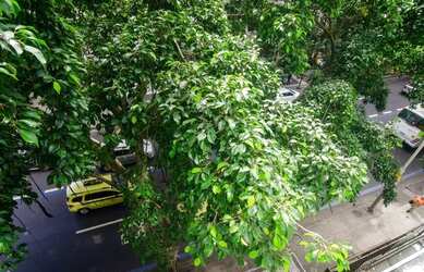 Imagem: A kitnet possui 1 Banheiro, 31m² de Área, Imóvel mobiliado