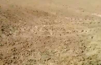 Imagem 2: Vende-se um terreno medindo 2 tarefas terra produtiva