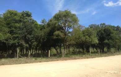 Imagem: A chácara possui 12.305m² de Área e está localizado em