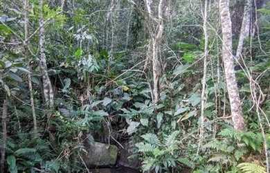 Imagem: A chácara possui 220000000m² de Área, Churrasqueira e Piscina