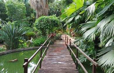 Imagem 9: MANSÃO PARA ALUGAR, 9.730M2 SETOR COIMBRA, GOIÂNIA - GO