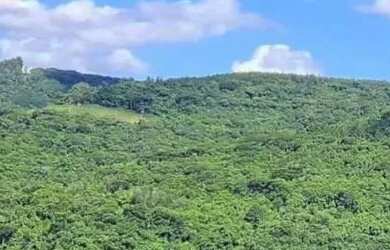 Imagem: A fazenda possui 35.342m² de Área e está localizado em Nova