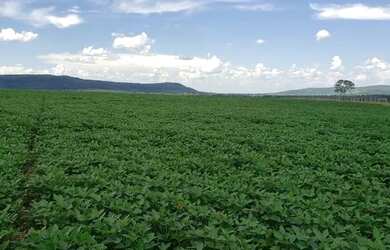 Imagem: A fazenda está localizado em Jandaia, GO à venda por R$70.000.000
