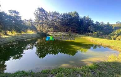 Imagem 7: PROPRIEDADE ESPETACULAR - 08 HECTARES - LAVRAS NOVAS - OURO PRETO MG