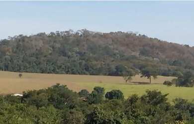 Imagem: A fazenda está localizado em Cezarina, GO à venda por R$2.500.000
