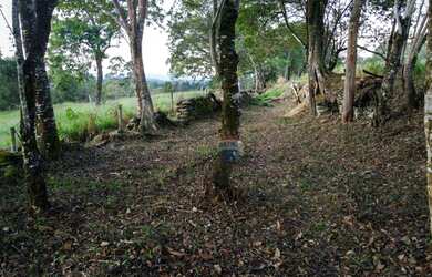 Imagem 9: Terreno à venda, 536 m² por R$ 214.540,00 - Inconfidentes - Ouro Preto/MG