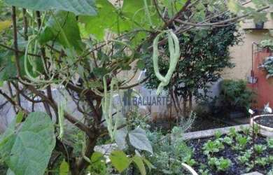 Imagem 3: Casa com 6 dormitórios, 461 m² - venda por R$ 2.200.000,00 ou aluguel...