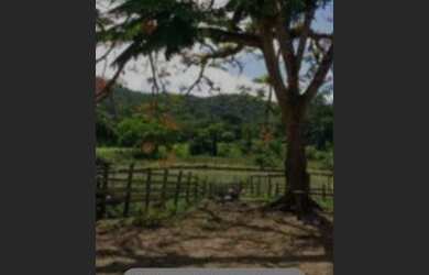 Imagem 1: Fazenda em Indiaroba - Se