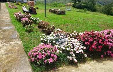 Imagem: O terreno possui 500m² de Área e está localizado em Ouro