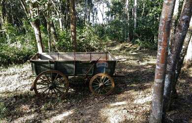 Imagem 6: Terreno à venda, 536 m² por R$ 214.540,00 - Inconfidentes - Ouro Preto/MG