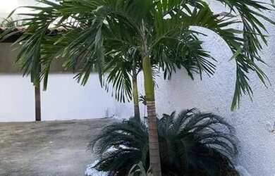 Imagem 2: Alugo casa. Varanda, 3 Vagas na garageme4 Dormitórios