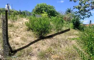 Imagem: O terreno possui 220m² de Área e está localizado em Goiana