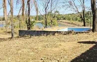 Imagem 6: Excelente fazenda dupla aptidão com 517 hectares e ótimas estruturas...