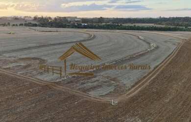 Imagem 8: Sítio com 17 alqueires terra vermelha em Quadra/SP