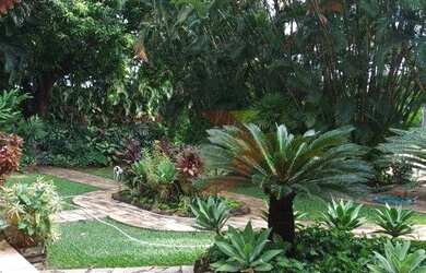 Imagem 11: MANSÃO PARA ALUGAR, 9.730M2 SETOR COIMBRA, GOIÂNIA - GO