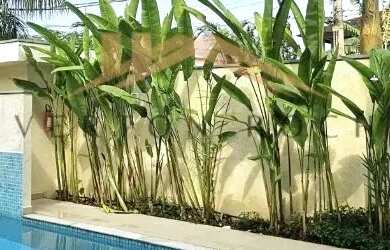 Imagem: A casa em condomínio à venda possui 3 Dormitórios, 5 Banheiros