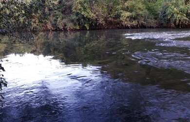 Imagem: A chácara possui 20.000m² de Área e está localizado em