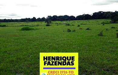 Imagem 3: Fazenda Formoso do Araguaia