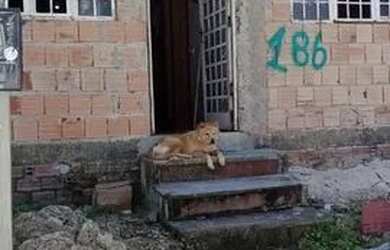 Imagem: A casa possui 3 Dormitórios, 1 Banheiro e está localizado
