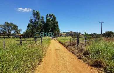 Imagem 4: 2072 Maravilhosa E Produtiva Fazenda De 57 Ha Na Região De Sete Lagoas...