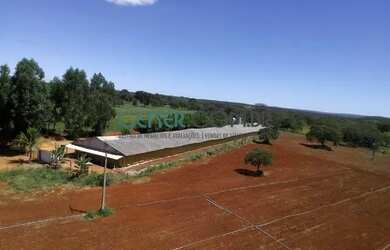 Imagem 14: 2072 Maravilhosa E Produtiva Fazenda De 57 Ha Na Região De Sete Lagoas...