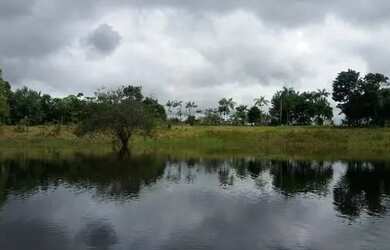 Imagem: A chácara possui 50.000m² de Área e está localizado em