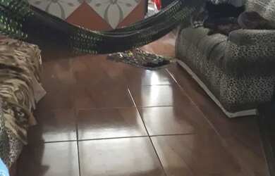 Imagem: A casa possui 2 Dormitórios, 1 Banheiro, 832m² de Área e