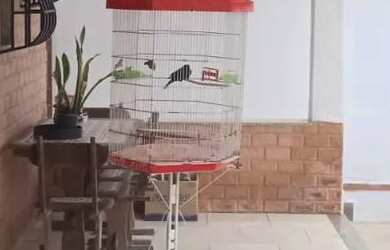 Imagem 3: Casa térreo. Ar-condicionado, 113m² de Área, 1 Vaga na garageme2 Dormitórios