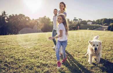 Imagem 16: Terreno em Condomínio à venda, Reserva Novo Mundo - UBERLANDIA/MG