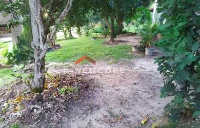 Imagem 14: Fazenda em Saltinho - Centro - Saltinho/SP