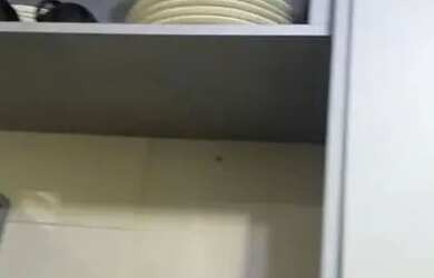 Imagem 16: Apartamento para venda possui 42 metros quadrados com 2 quartos em Tejipió...