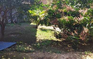 Imagem 8: Aluga-se ou Vende-se Terreno em Itaquaquecetuba