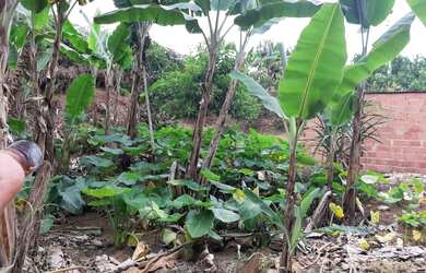 Imagem: A chácara possui 58000m² de Área e Varanda e está localizado