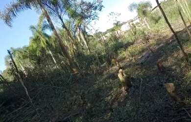 Imagem: O terreno possui 200m² de Área e está localizado em Capela