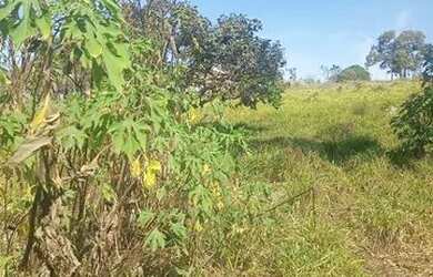 Imagem: O terreno possui 1000m² de Área e está localizado em Industrial