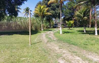 Imagem 14: Área para Venda em Rio de Janeiro, Ilha de Guaratiba, 1 banheiro