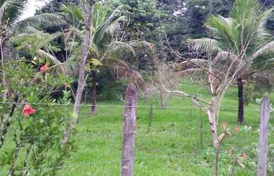 Imagem 6: Casa em condomínio rural