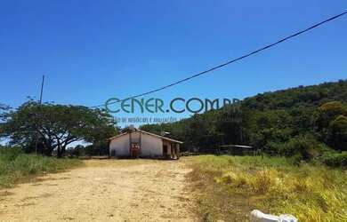 Imagem 11: 2072 Maravilhosa E Produtiva Fazenda De 57 Ha Na Região De Sete Lagoas...