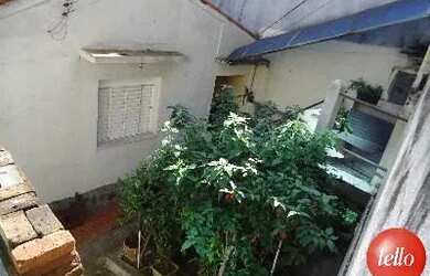 Imagem 7: São Paulo - Terreno Padrão - Tatuapé