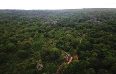 Imagem 10: Fazenda 15.416. Valor 61.664.000