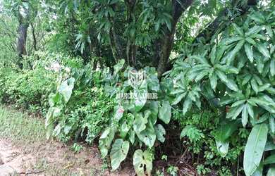 Imagem 8: EXCELENTE CHACARA A 23 KM DE MONTES CLAROS ESTRUTURADA DE 10 MIM M2